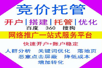行业领先企业如何运用SEM进行精准营销